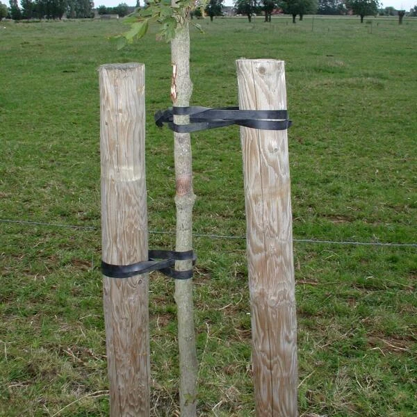 Tree-fix Boombinder 50 Cm/15 Mm - Set Van 10 Stuks - Afbeelding 2