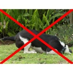 Anti-graafraster - 200 × 30 Cm