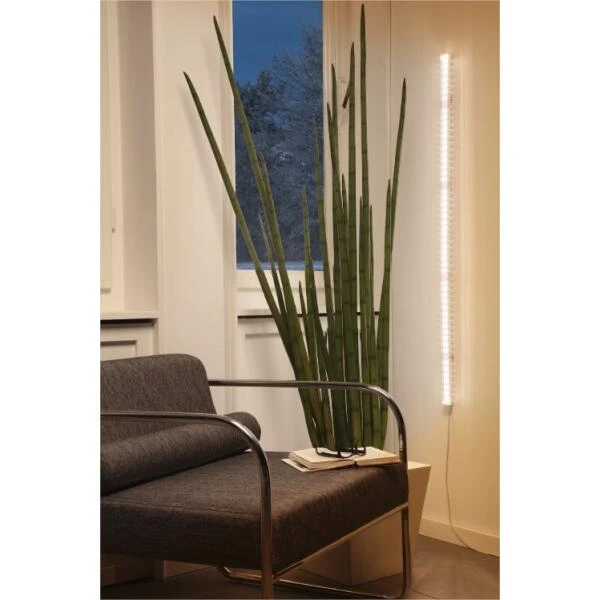 Led Groeilamp Florabooster 200 - 9W - 60 Cm - Afbeelding 4
