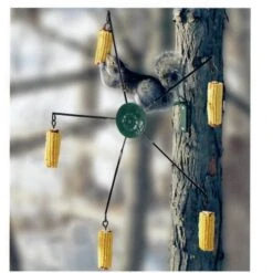 Maïsmolen Voor Eekhoorns