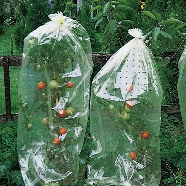 Tomatenhoezen 10 × 0,65 M