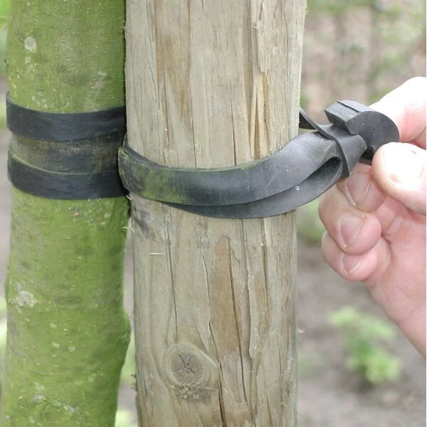 Tree-fix Boombinder 30 Cm/15 Mm - Set Van 10 Stuks - Afbeelding 2